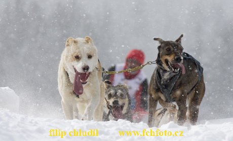 Tri studne zima 2009 - 1165.jpg